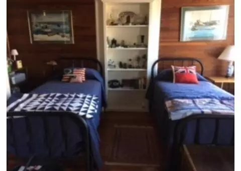 Antique metal twin beds
